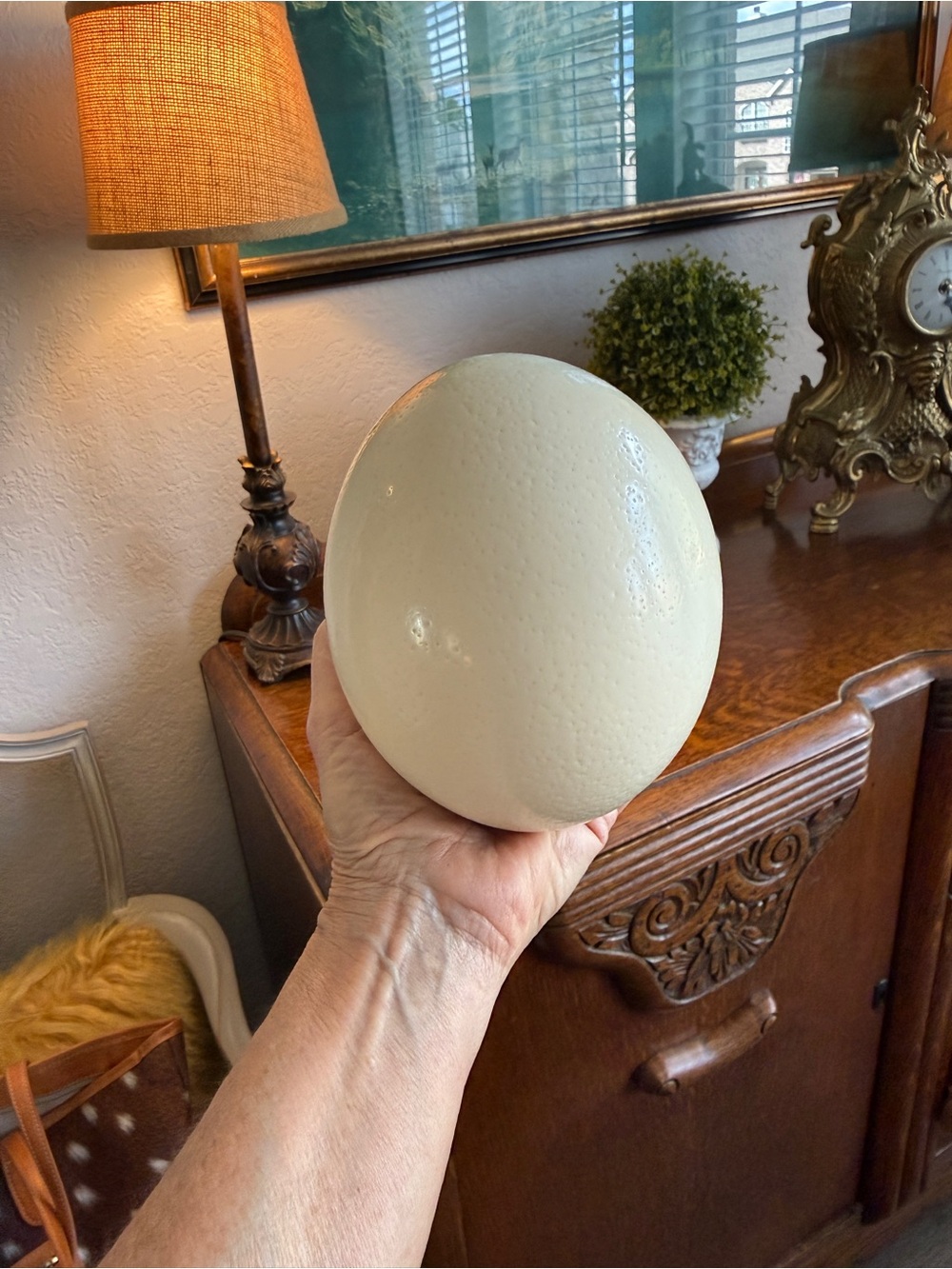 Large Real Blown Ostrich Egg - Picture 3 of 17